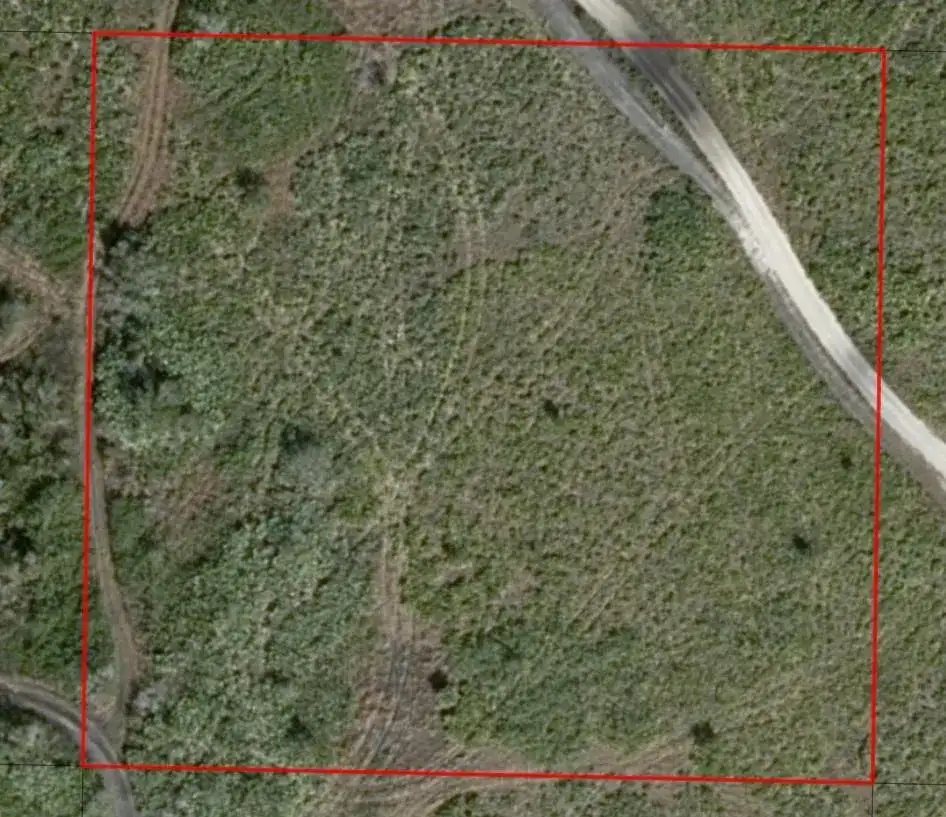 0 313th Street, Okeechobee FL 34972 photo 4