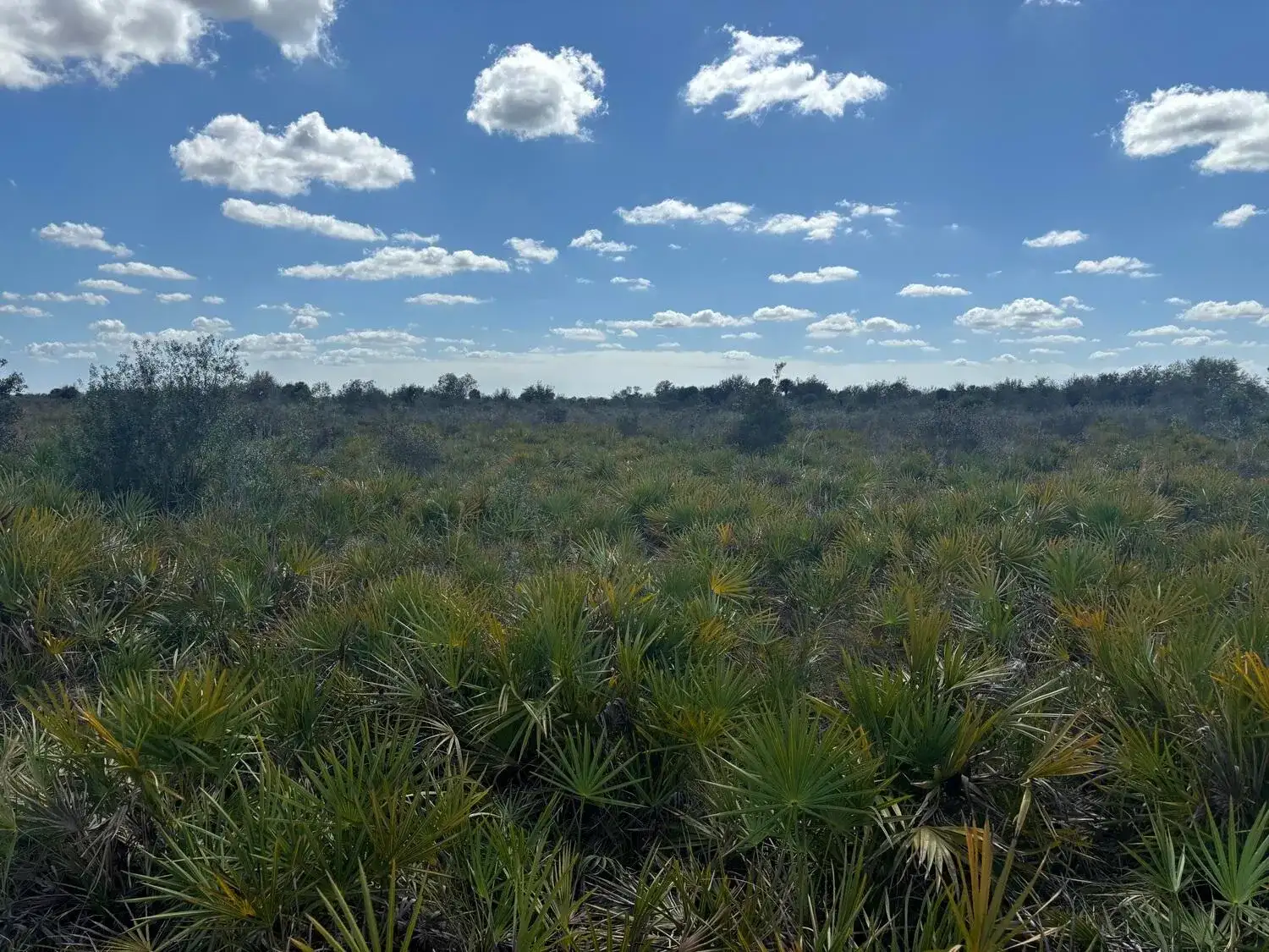 0 313th Street, Okeechobee FL 34972 photo 5
