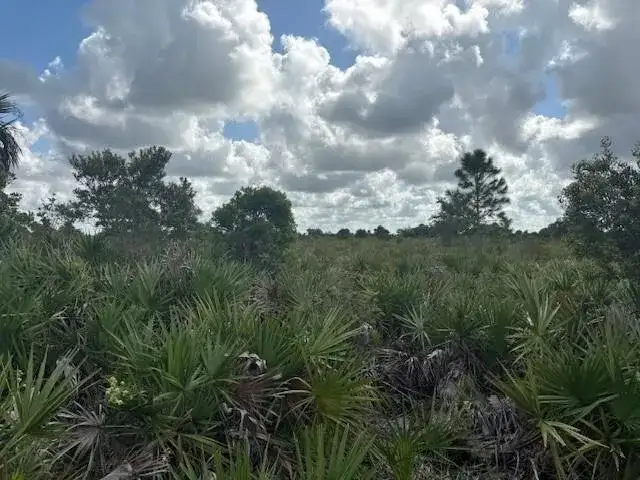 0 NW 316th Street, Okeechobee FL 34972 photo 2