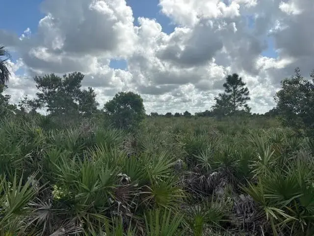 0 NW 316th Street, Okeechobee FL 34972