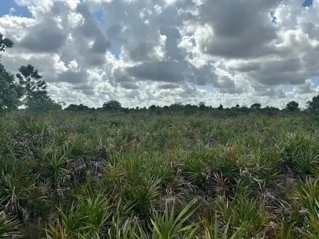 0 NW 314th Street, Okeechobee FL 34972 photo 3