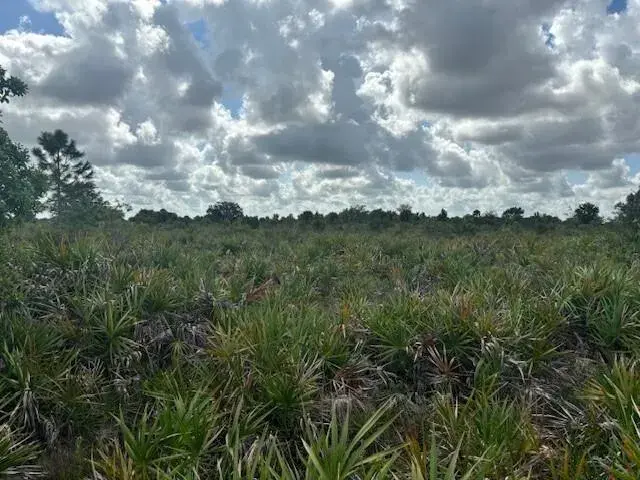 0 NW 314th Street, Okeechobee FL 34972