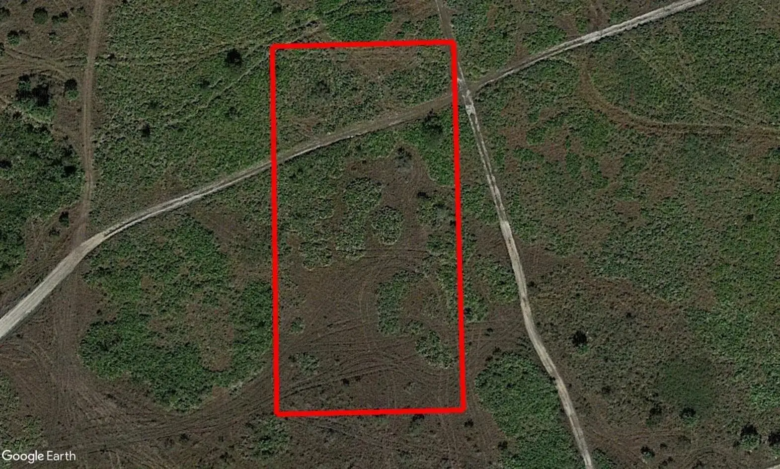 0 NW 310th Street, Okeechobee FL 34972 photo 2