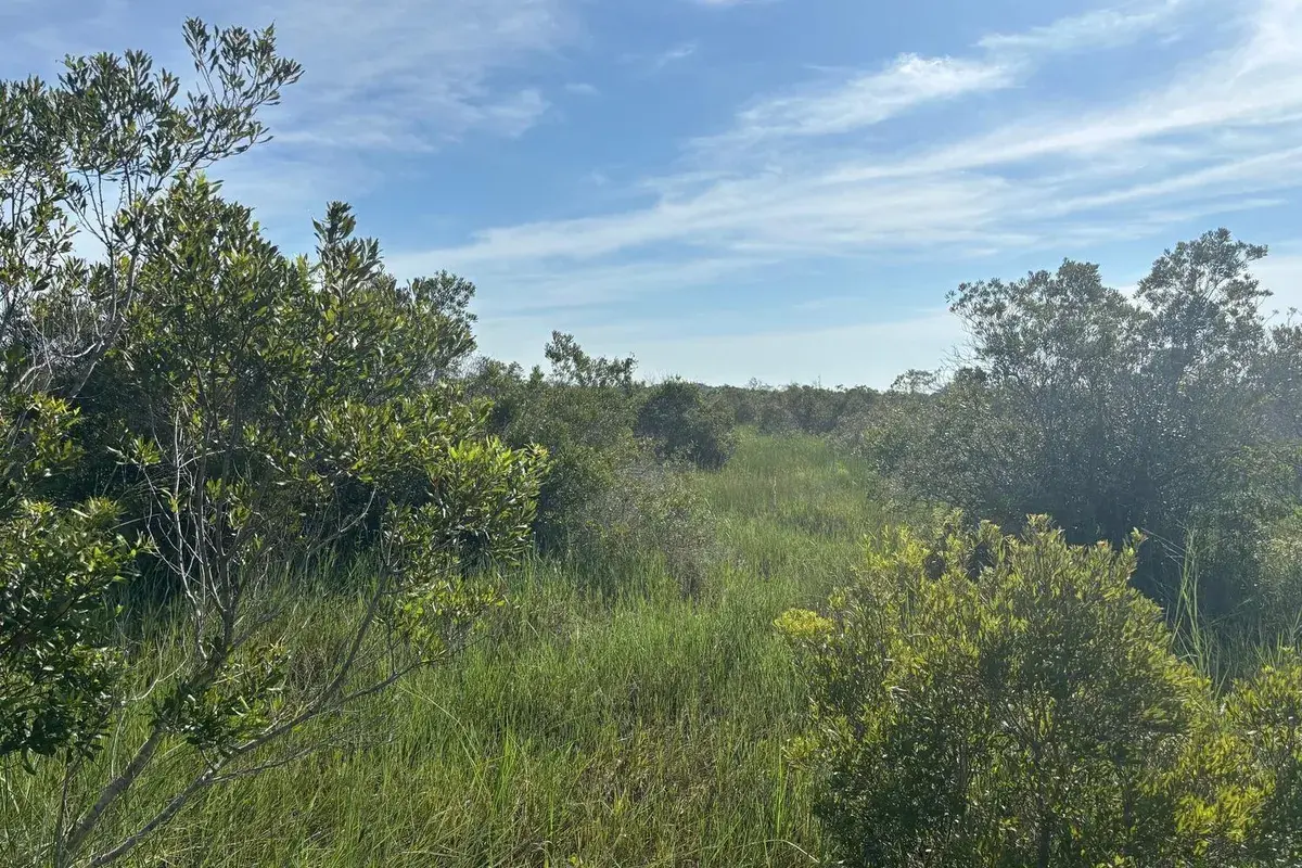 0 NW 308th Street, Okeechobee FL 34972