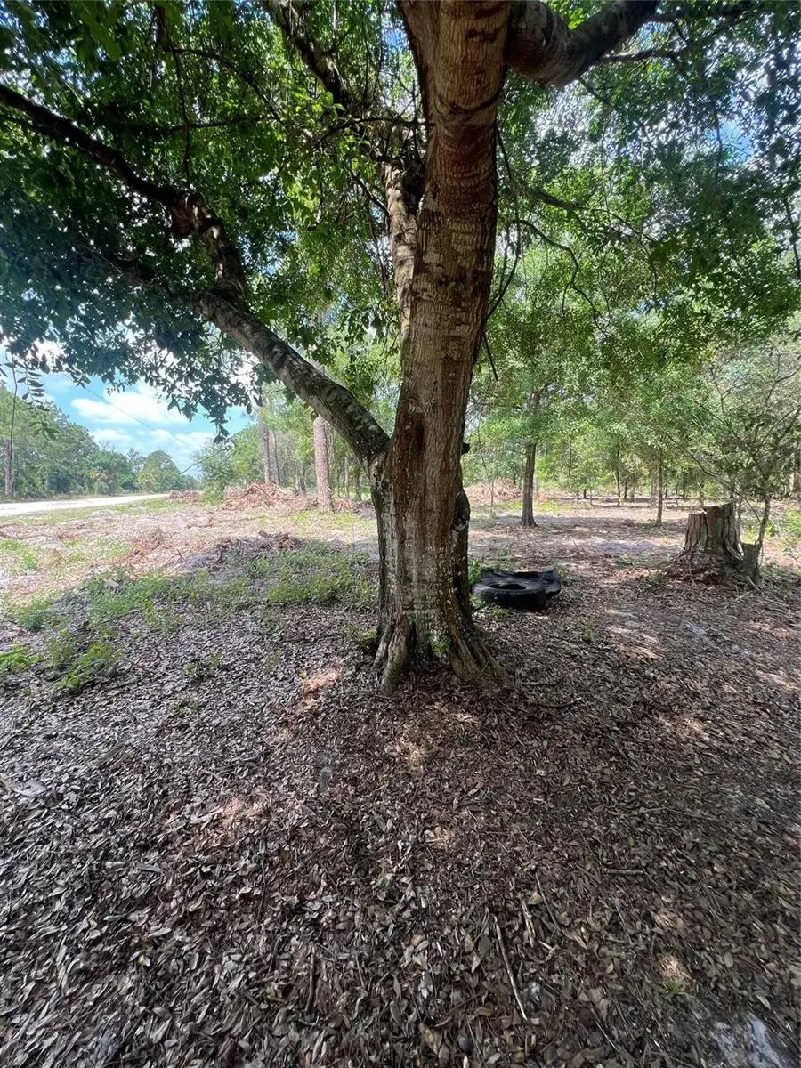 681 N Perimeter Road, Clewiston FL 33440