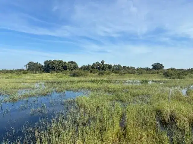 0 NW 308th Street, Okeechobee FL 34972 photo 2
