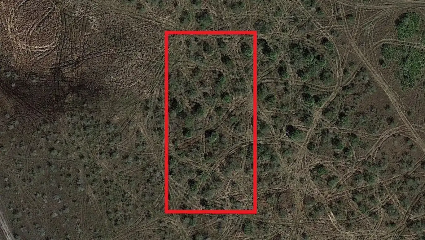 0 NW 310th Street, Okeechobee FL 34972 photo 2