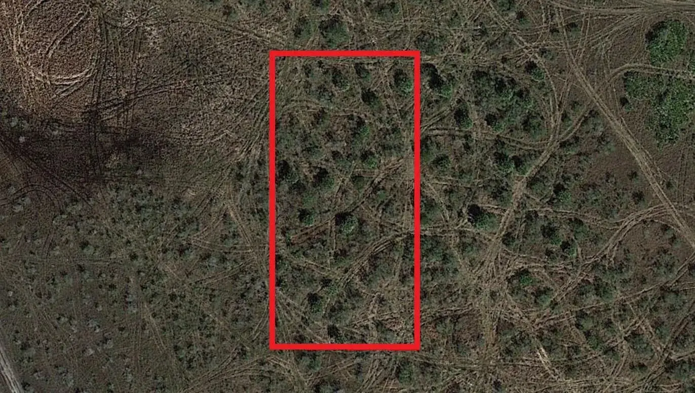 0 NW 310th Street, Okeechobee FL 34972