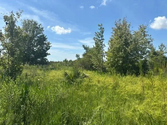 0 NW 310th Street, Okeechobee FL 34972