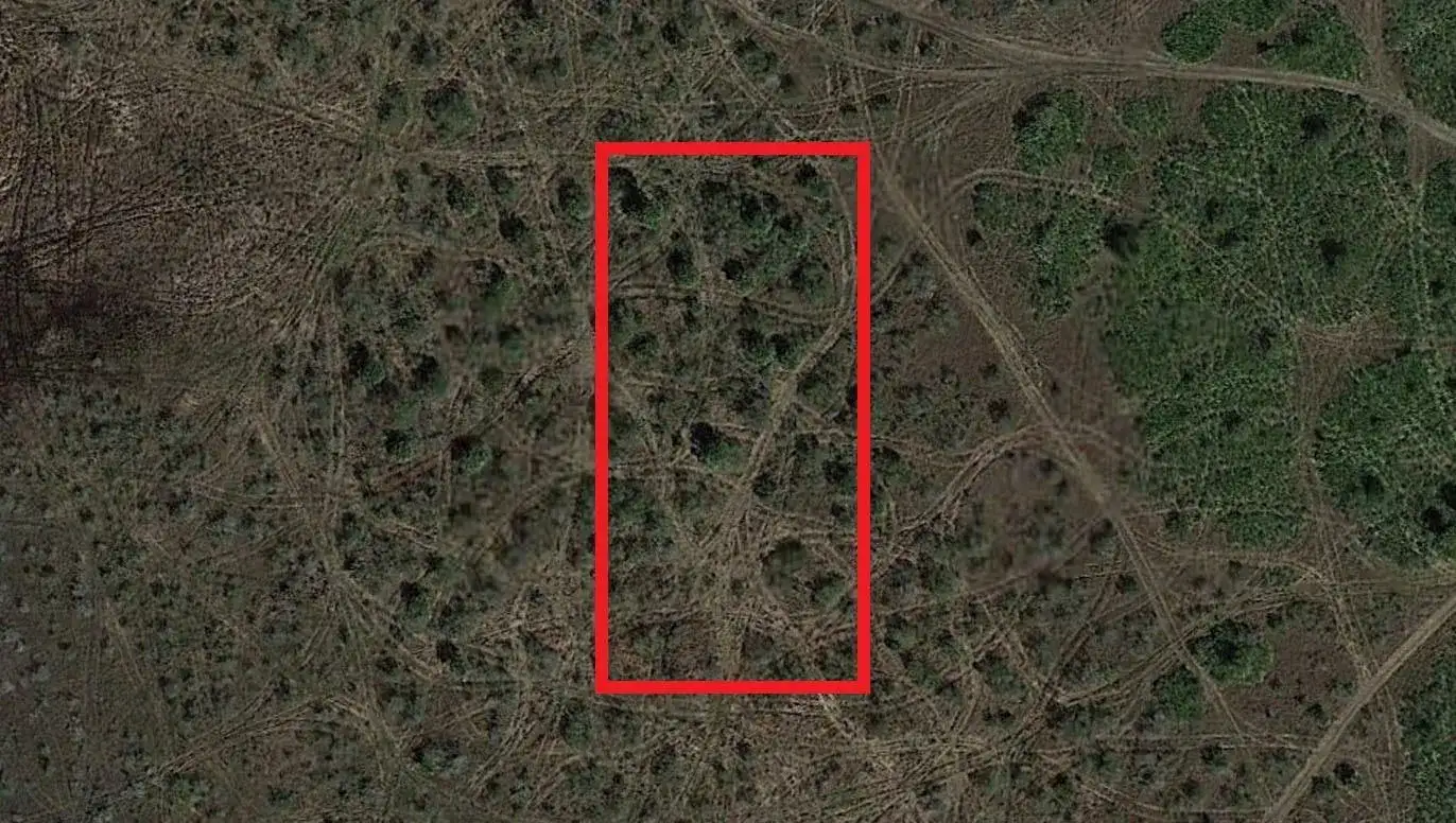 0 NW 310th Street, Okeechobee FL 34972 photo 2