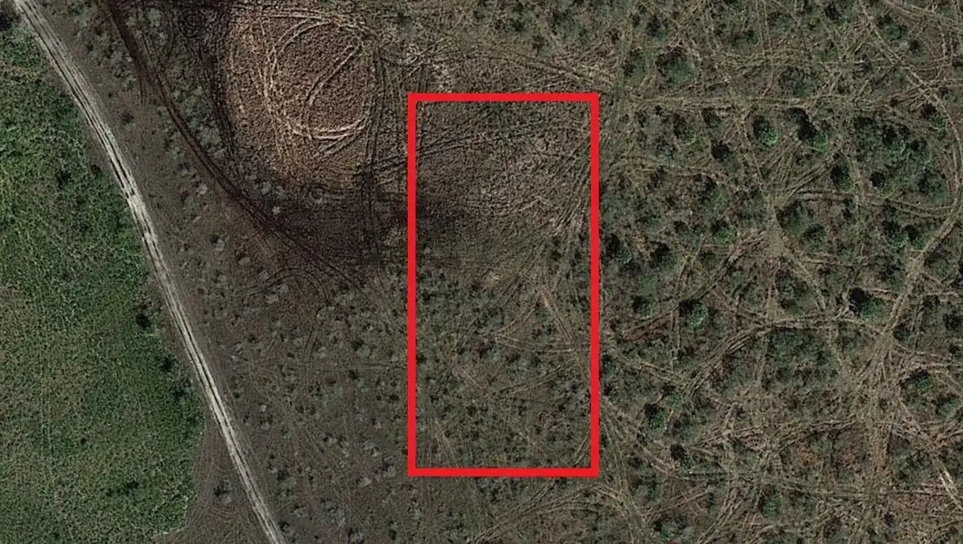 0 NW 310th Street, Okeechobee FL 34972 photo 2