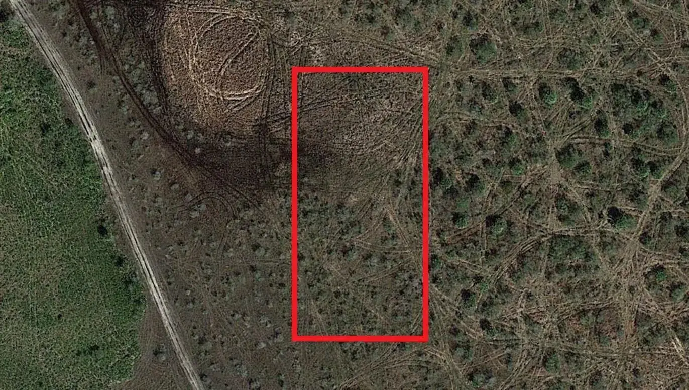 0 NW 310th Street, Okeechobee FL 34972
