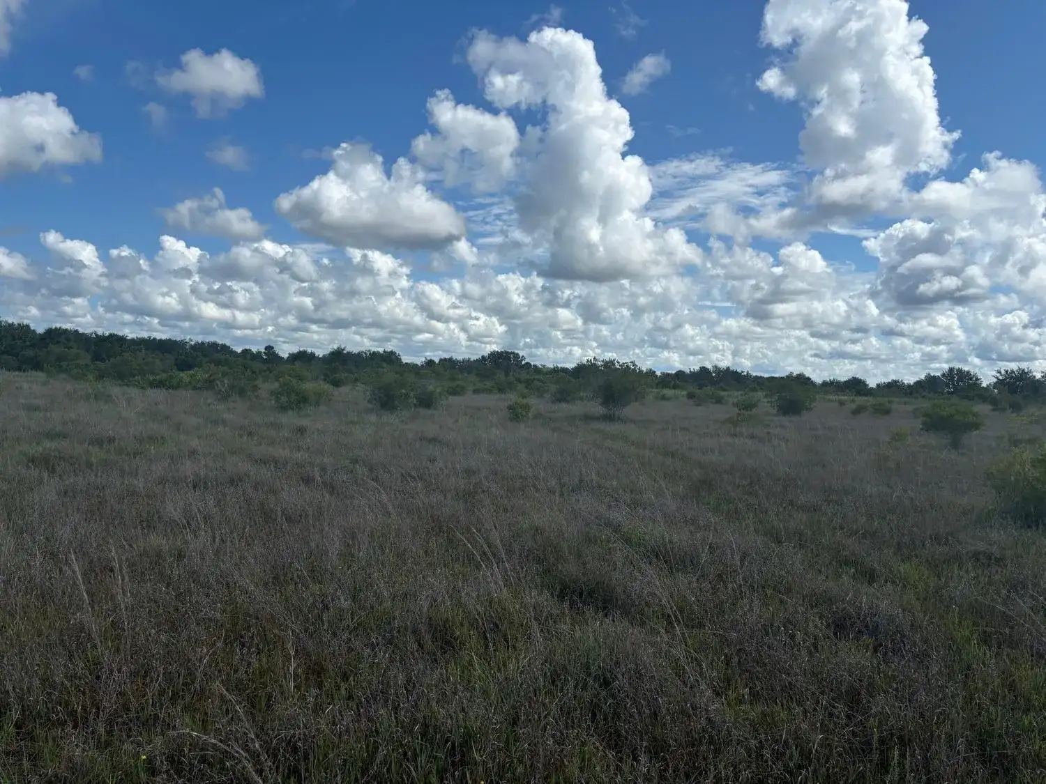 0 290th Street, Okeechobee FL 34972 photo 2