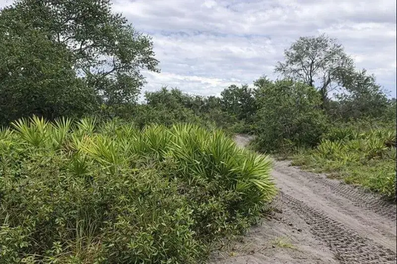 0 Alturas Babson Park Cutoff Road, Lake Wales FL 33859