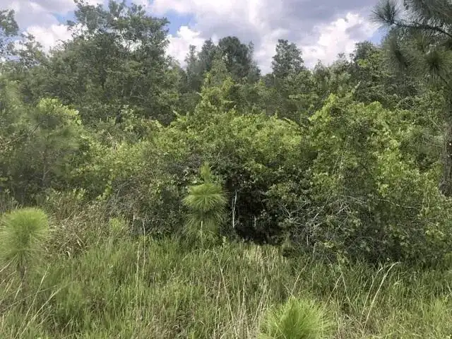 0 Xeriscape Nursery Road, Frostproof FL 33843
