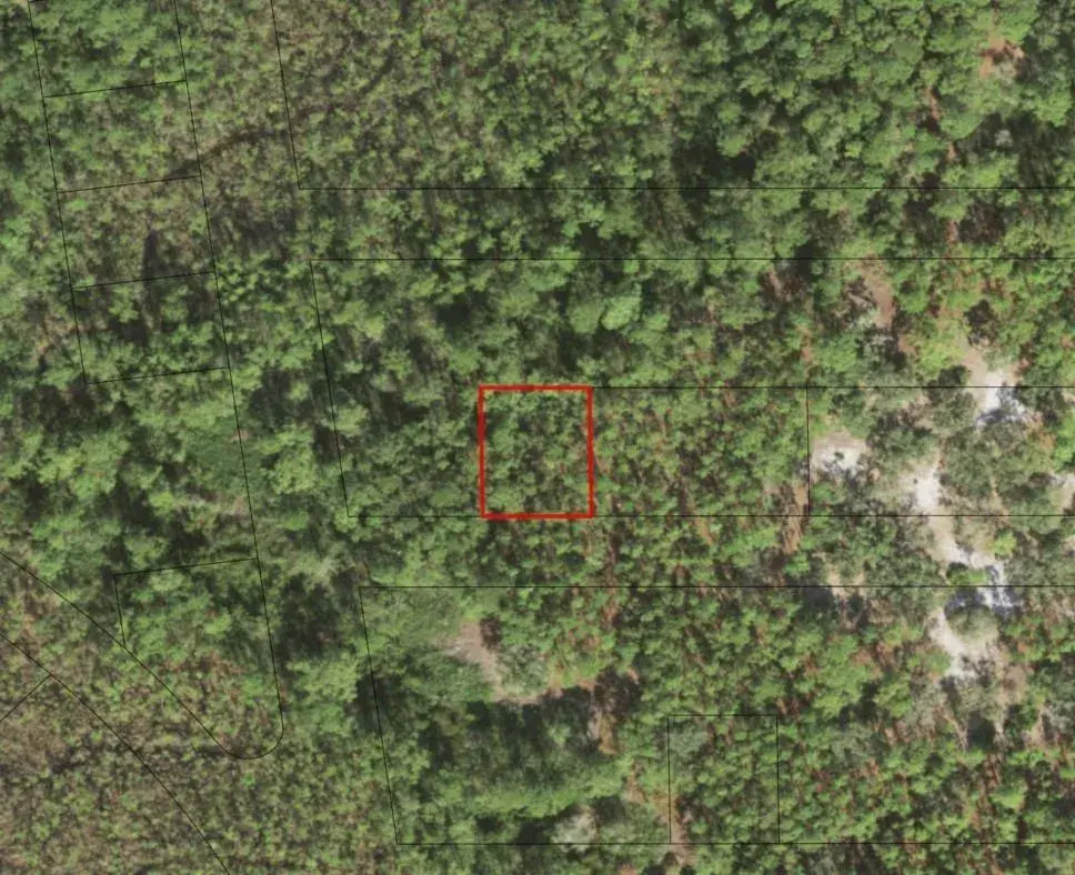 0 Fourth Avenue, FL 34771