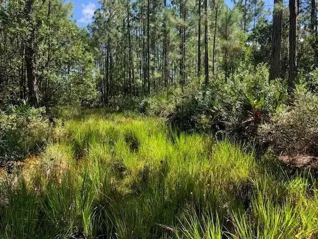 0 Old Grade Road, FL 33868 photo 3