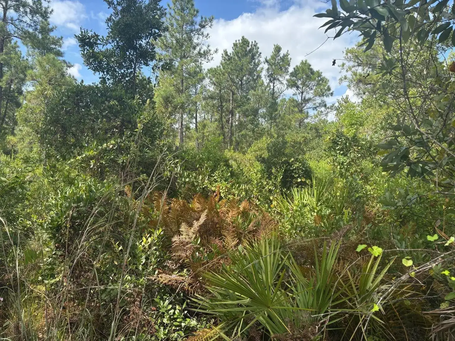 0 Hwy 630e, Frostproof FL 33843 photo 2