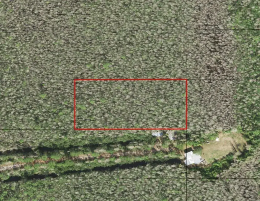 0 Holopaw Groves Road, FL 34772