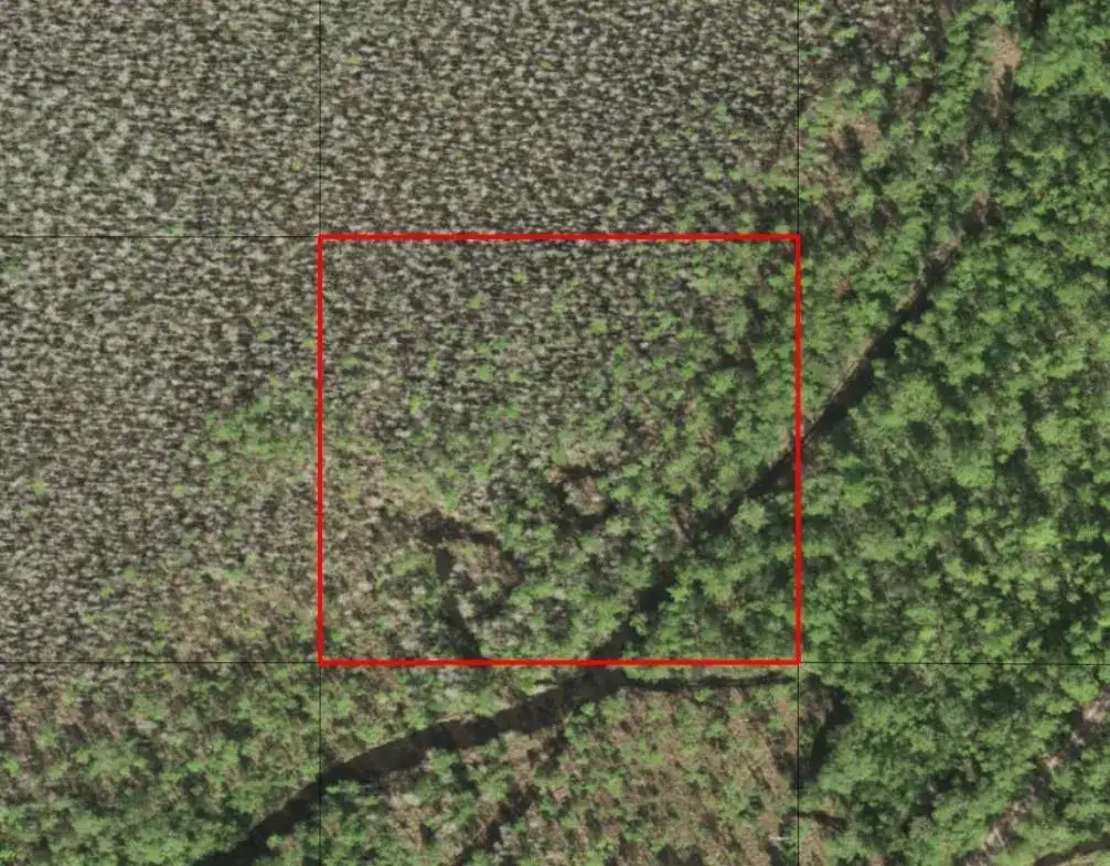 0 Holopaw Groves Road, FL 34772 photo 2