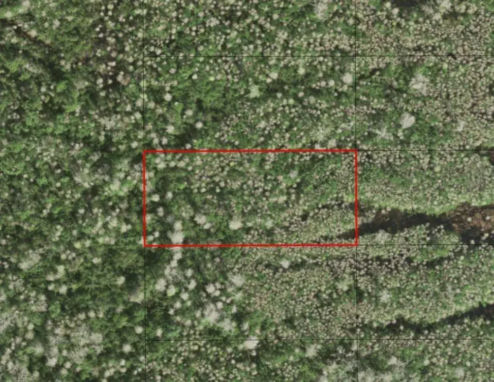 0 Holopaw Groves Road, FL 34772