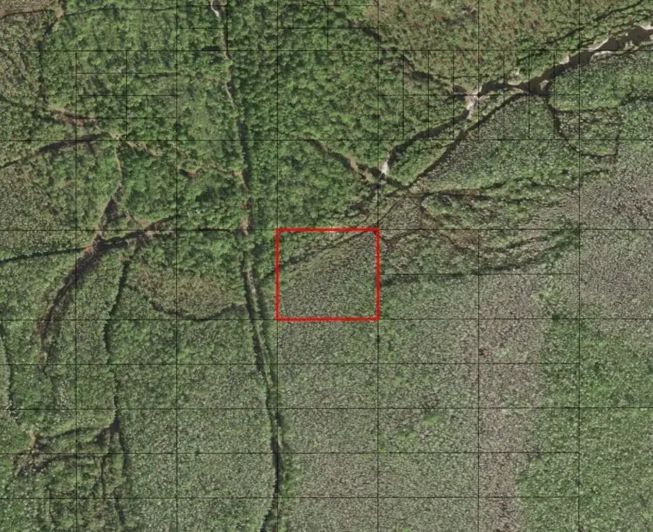 0 Holopaw Groves Road, FL 34772 photo 2