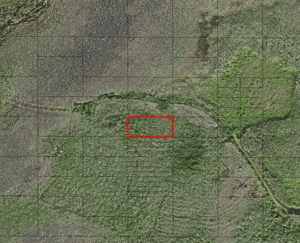 0 Holopaw Groves Road, FL 34772
