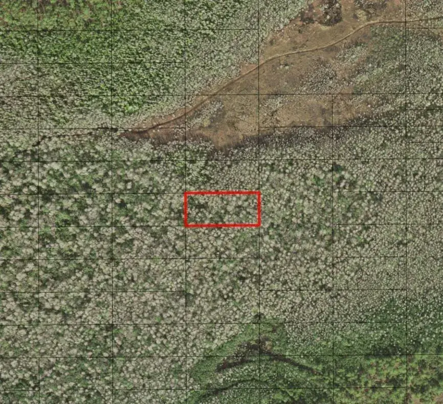 0 Holopaw Groves Road, FL 34772