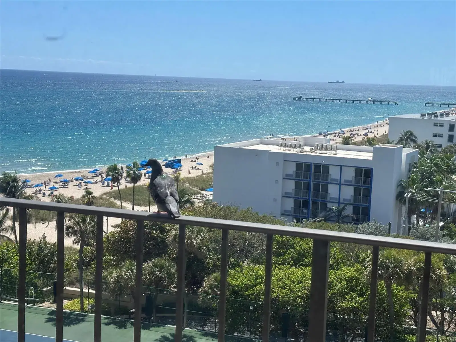 4900 N Ocean Boulevard # 1003, Lauderdale By The Sea FL 33308