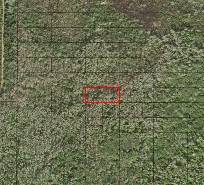 0 Holopaw Groves Road, FL 34772