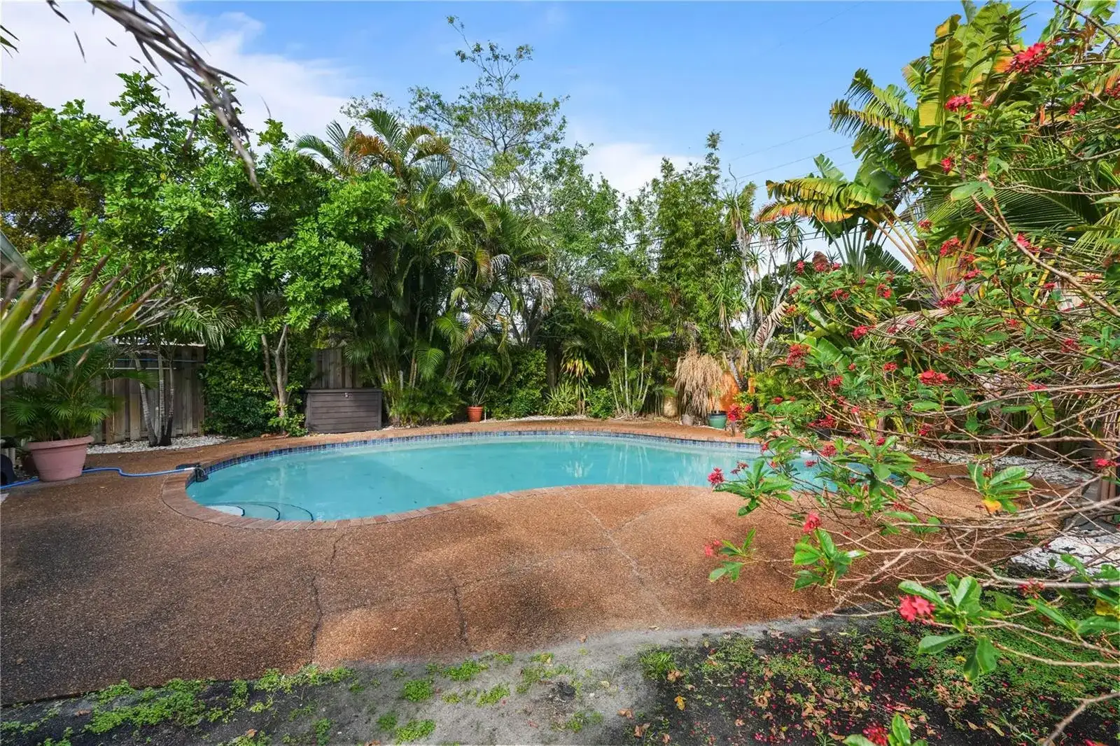 51 NE 49th Street, Fort Lauderdale FL 33334 photo 3