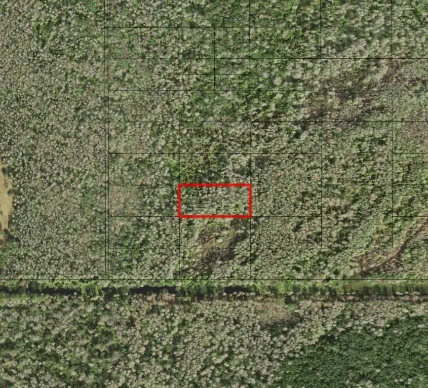 0 Holopaw Groves Road, FL 34772