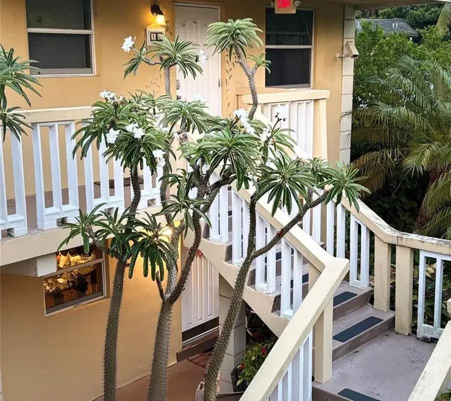 811 NE 14th Place # 6, Fort Lauderdale FL 33304