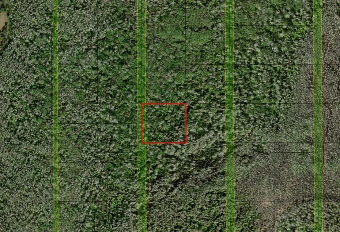 0 Holopaw Groves Road, FL 34772