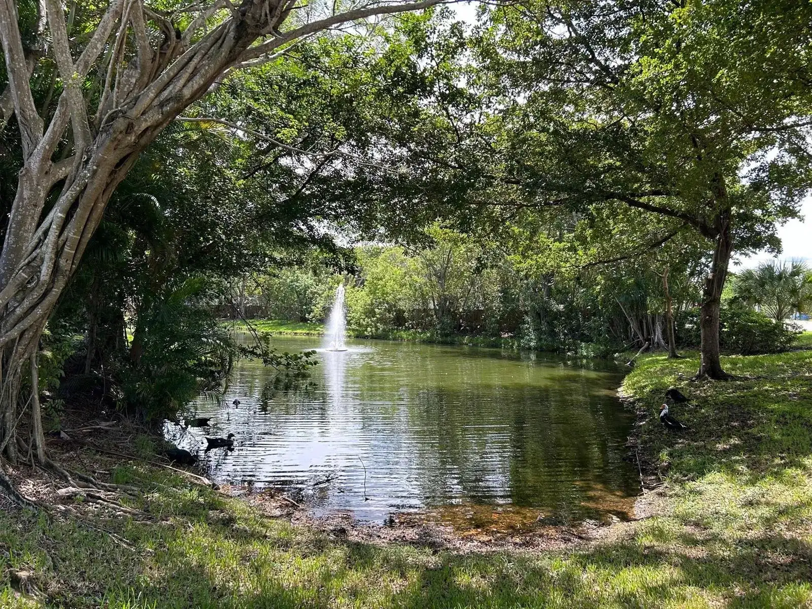 9999 Summerbreeze Drive # 105, Sunrise FL 33322
