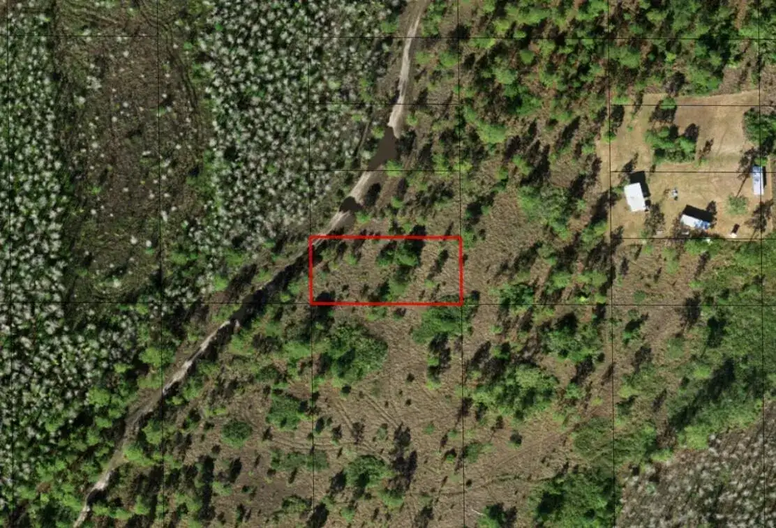 0 Holopaw Groves Road, FL 34772 photo 2