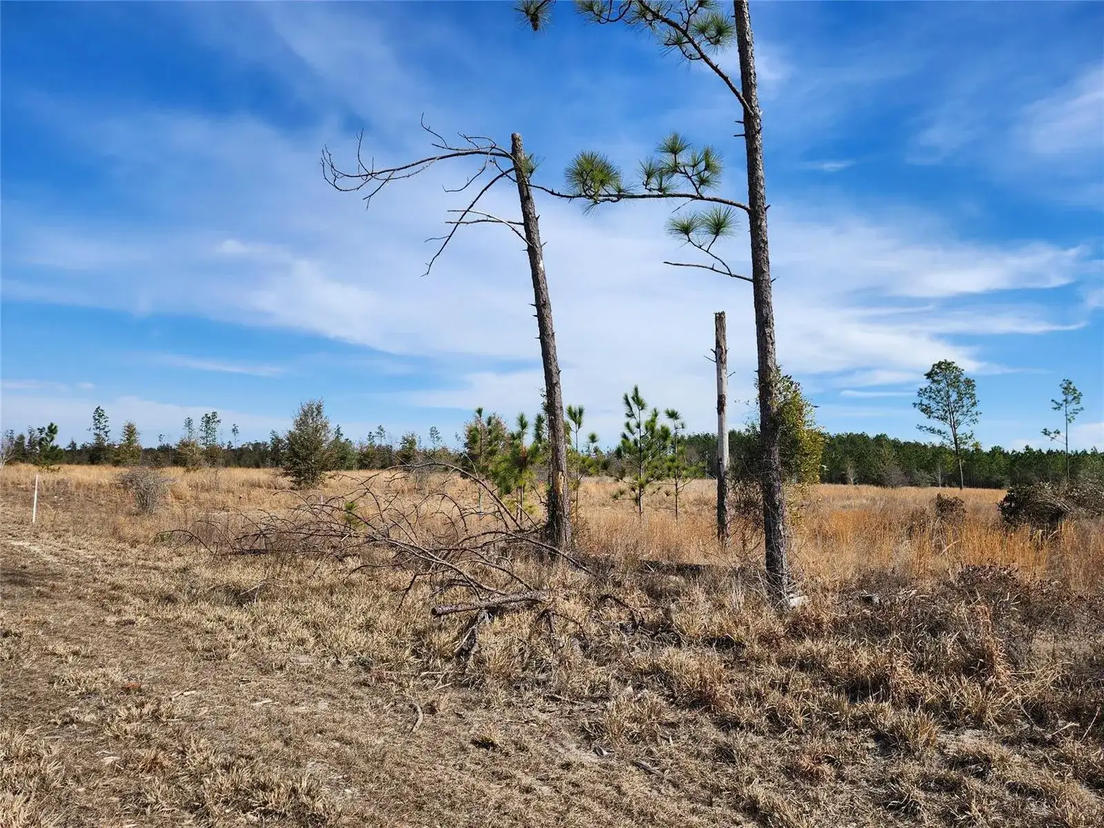 Lot 50 Fl-50, FL 32060 photo 2