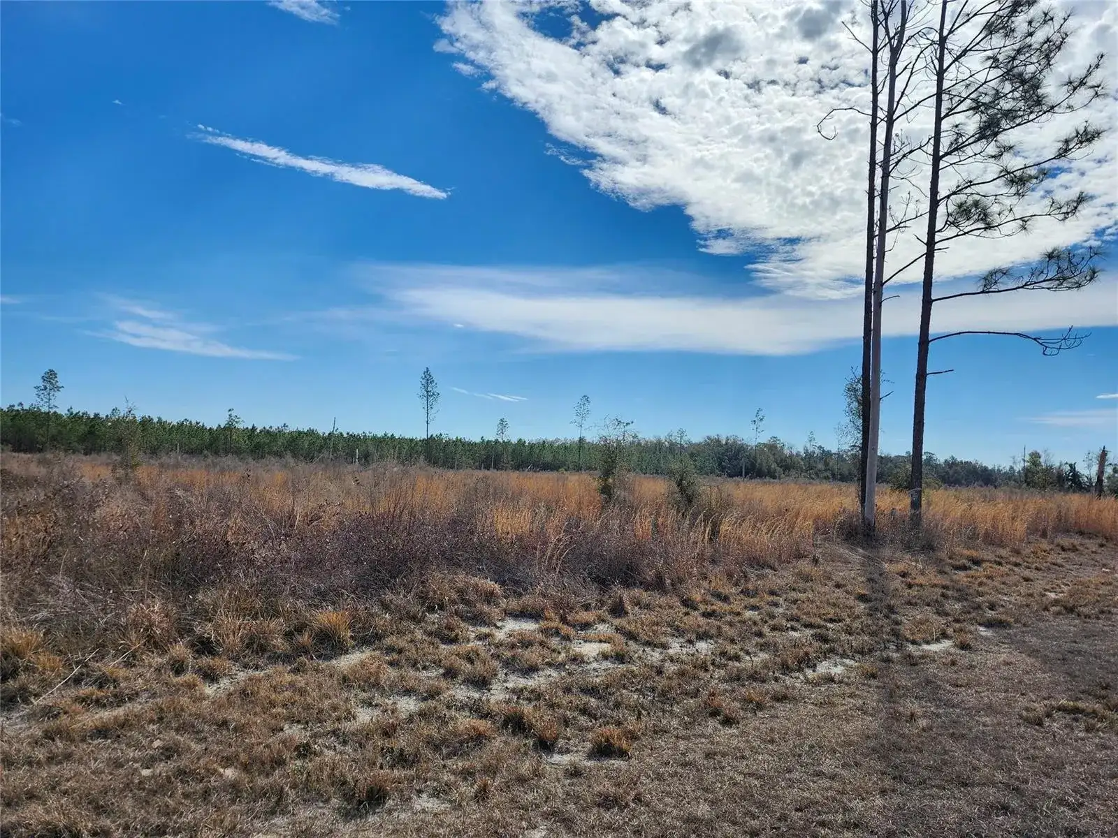 Lot 50 Fl-50, FL 32060 photo 3