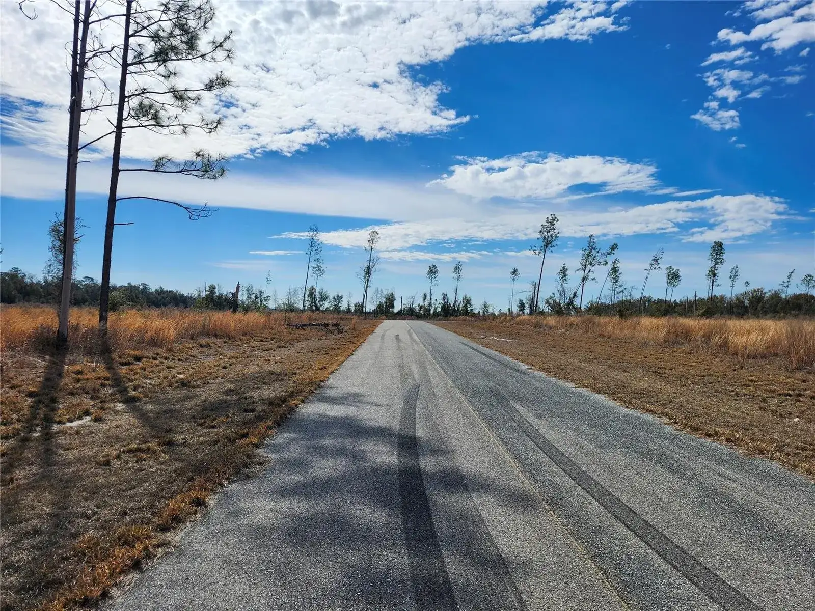 Lot 50 Fl-50, FL 32060 photo 4
