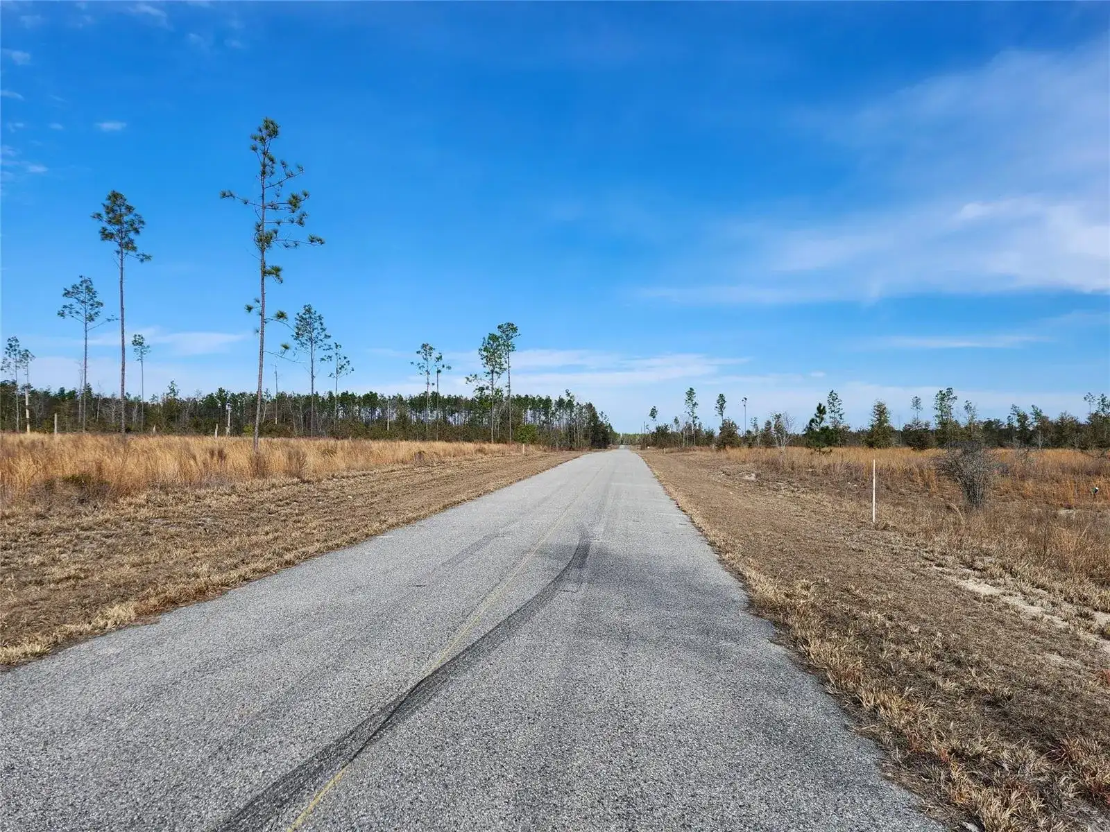 Lot 50 Fl-50, FL 32060 photo 5