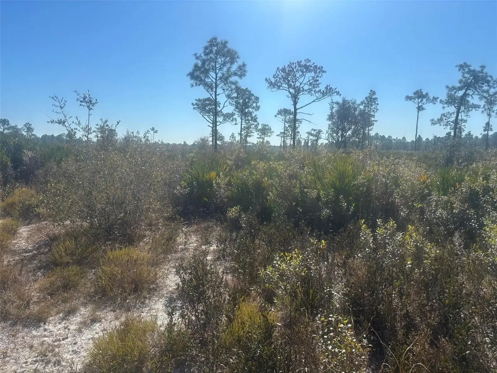 0 Xeriscape Nursery Road, Frostproof FL 33898 photo 2