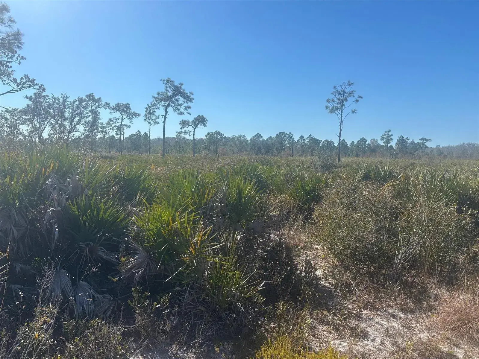 0 Xeriscape Nursery Road, Frostproof FL 33898