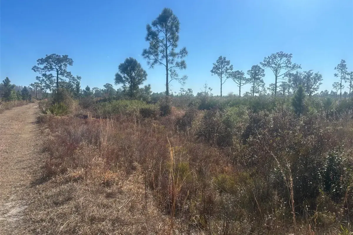 0 Xeriscape Nursery Road, Frostproof FL 33898