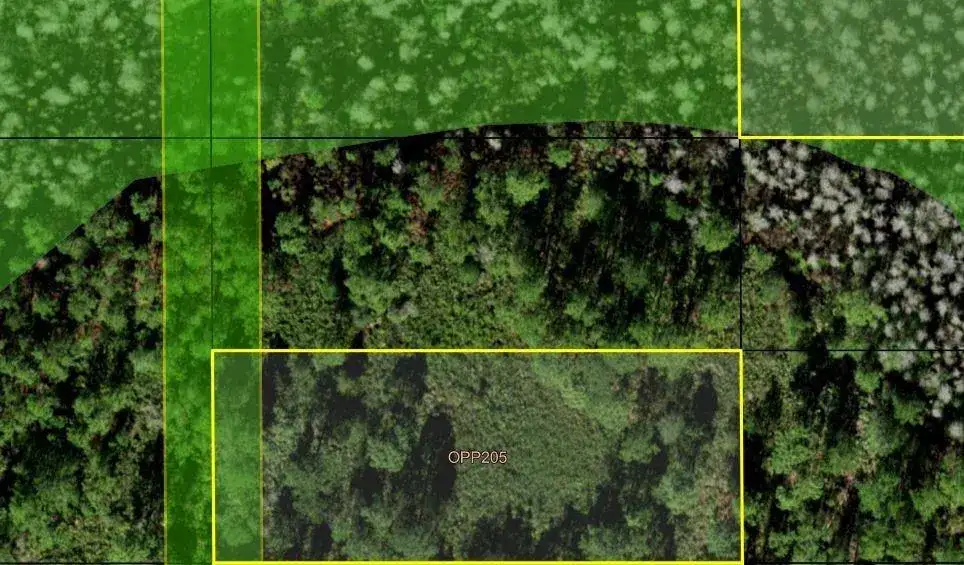 0 Old Grade Road, FL 33868 photo 2