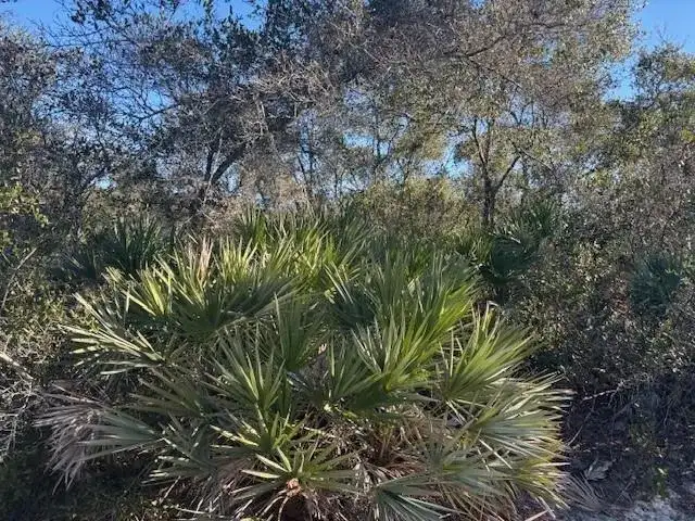 2280 93rd Court, Vero Beach FL 32966 photo 3