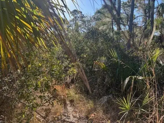 42260 93rd Avenue, Vero Beach FL 32966 photo 2