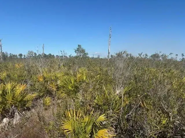 0 Hwy 630e, Frostproof FL 33843 photo 2