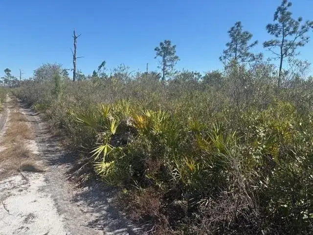 0 Hwy 630e, Frostproof FL 33843 photo 3
