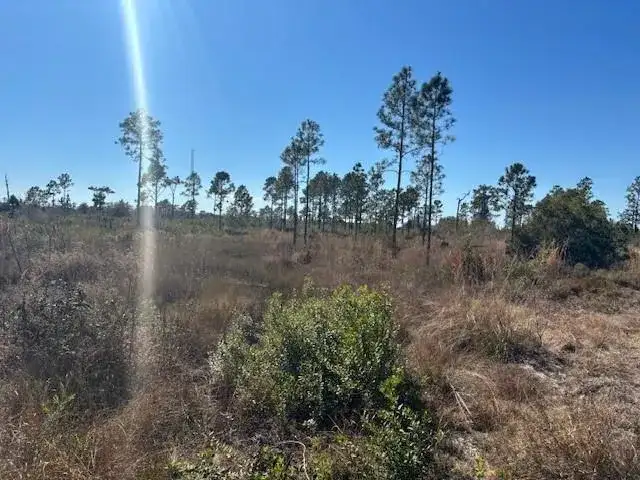 0 Hwy 630e, Frostproof FL 33843 photo 4