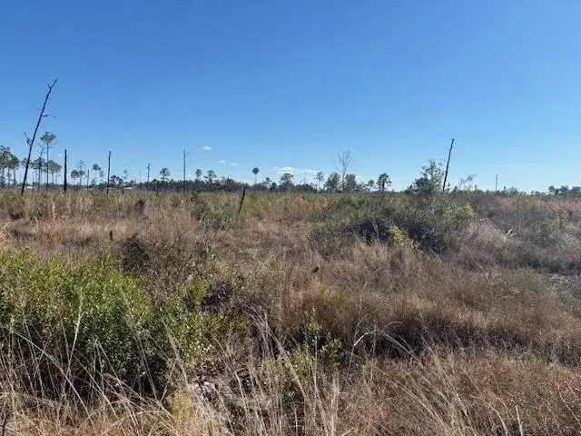 0 Hwy 630e, Frostproof FL 33843 photo 5